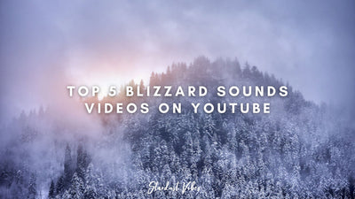 Top 5 Blizzard Snowstorm Sounds Videos on YouTube