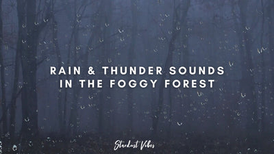 Rain and Thunder Sounds in the Foggy Forest YouTube Video