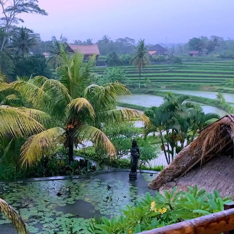 Tropical Rainstorm & Thunder Sounds in Bali MP3